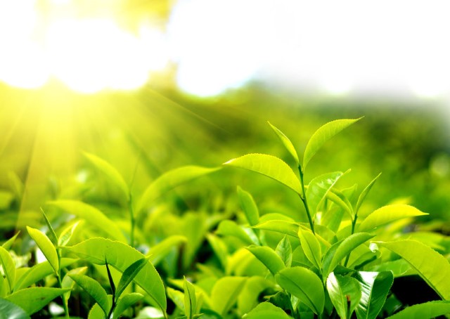 WuXi AppTec Named Constituent of the FTSE4Good Index Series for Fourth Consecutive Year