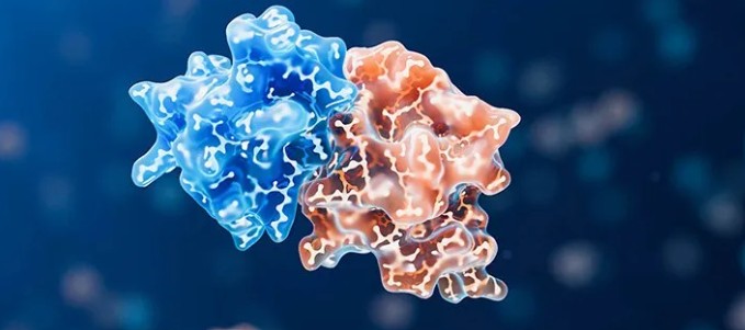Molecule Glue.jpg
