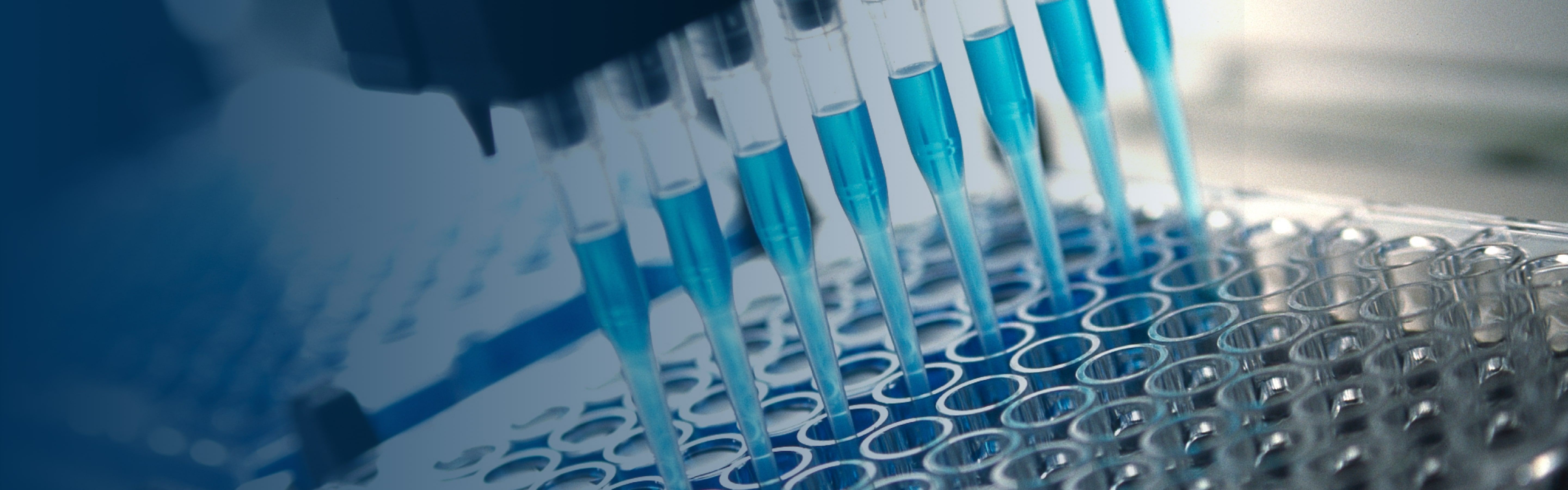 化学药研发和生产