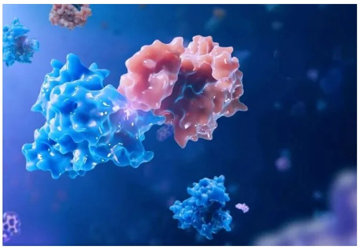 molecular glue